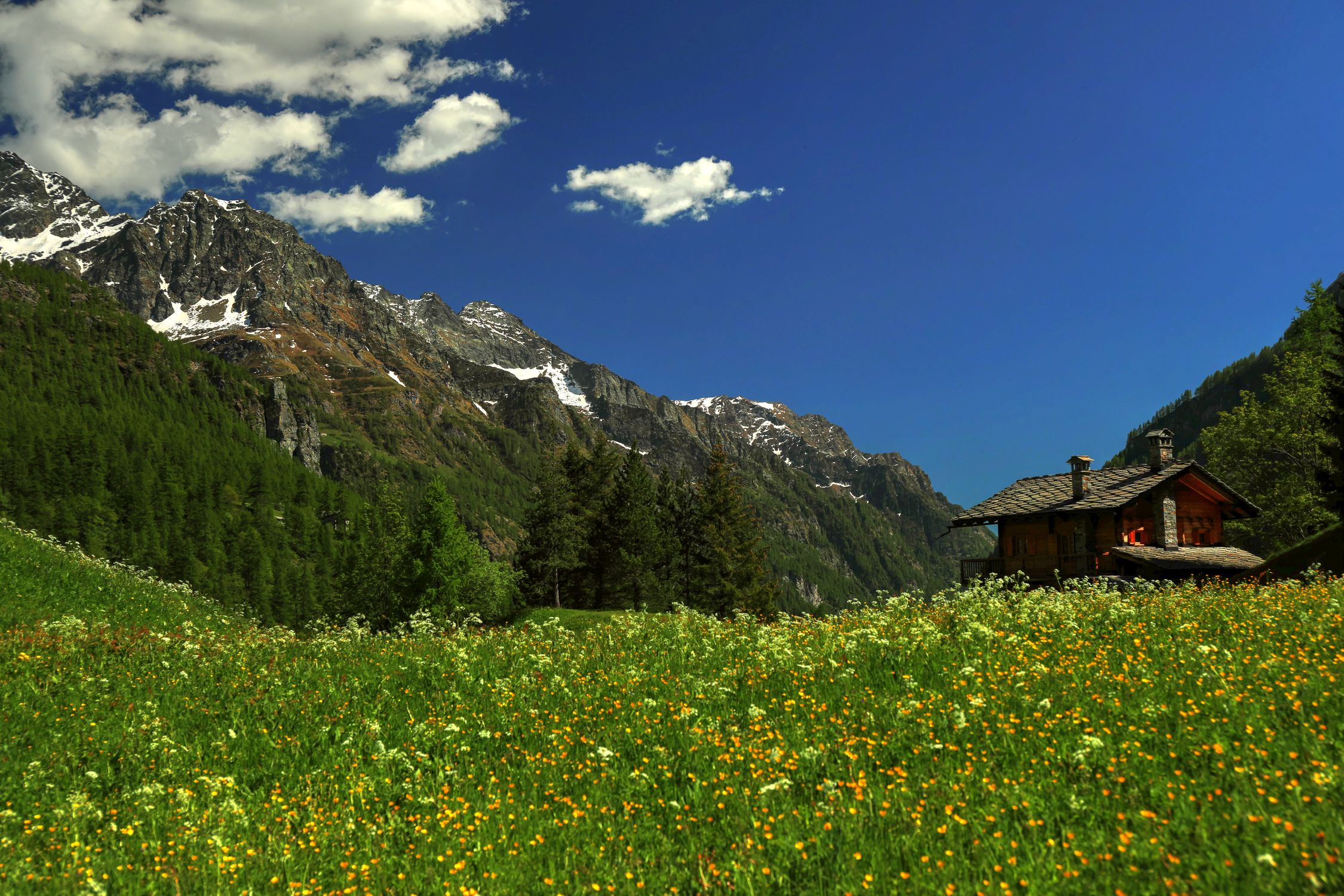 Timber chalet at the edge of a wildflower meadow under high peaks