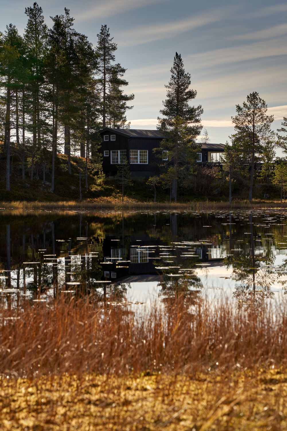 Dark timber cabin reflected in a still lake at dusk, pines behind