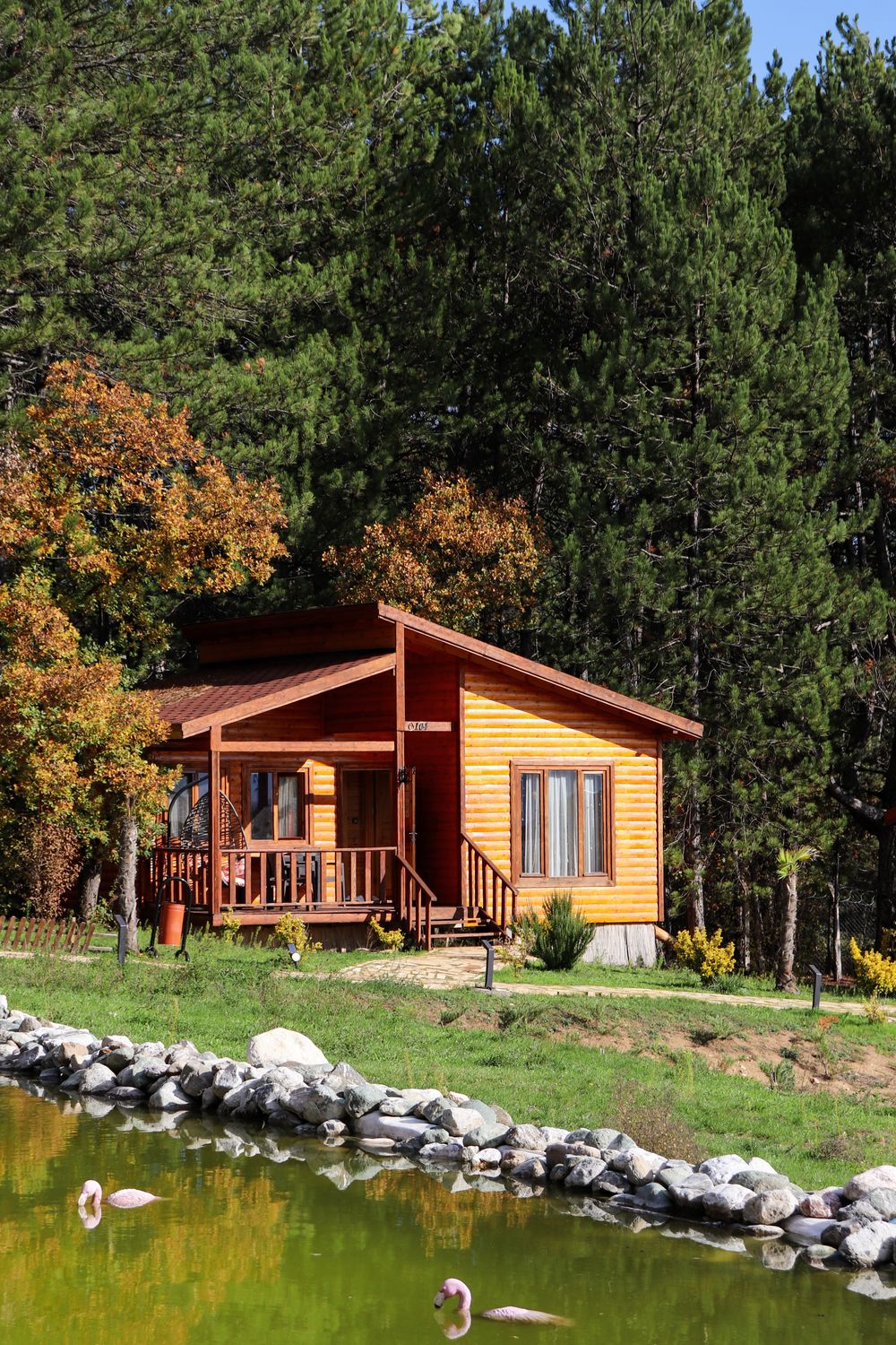 Log cabin with a covered porch tucked into autumn woodland