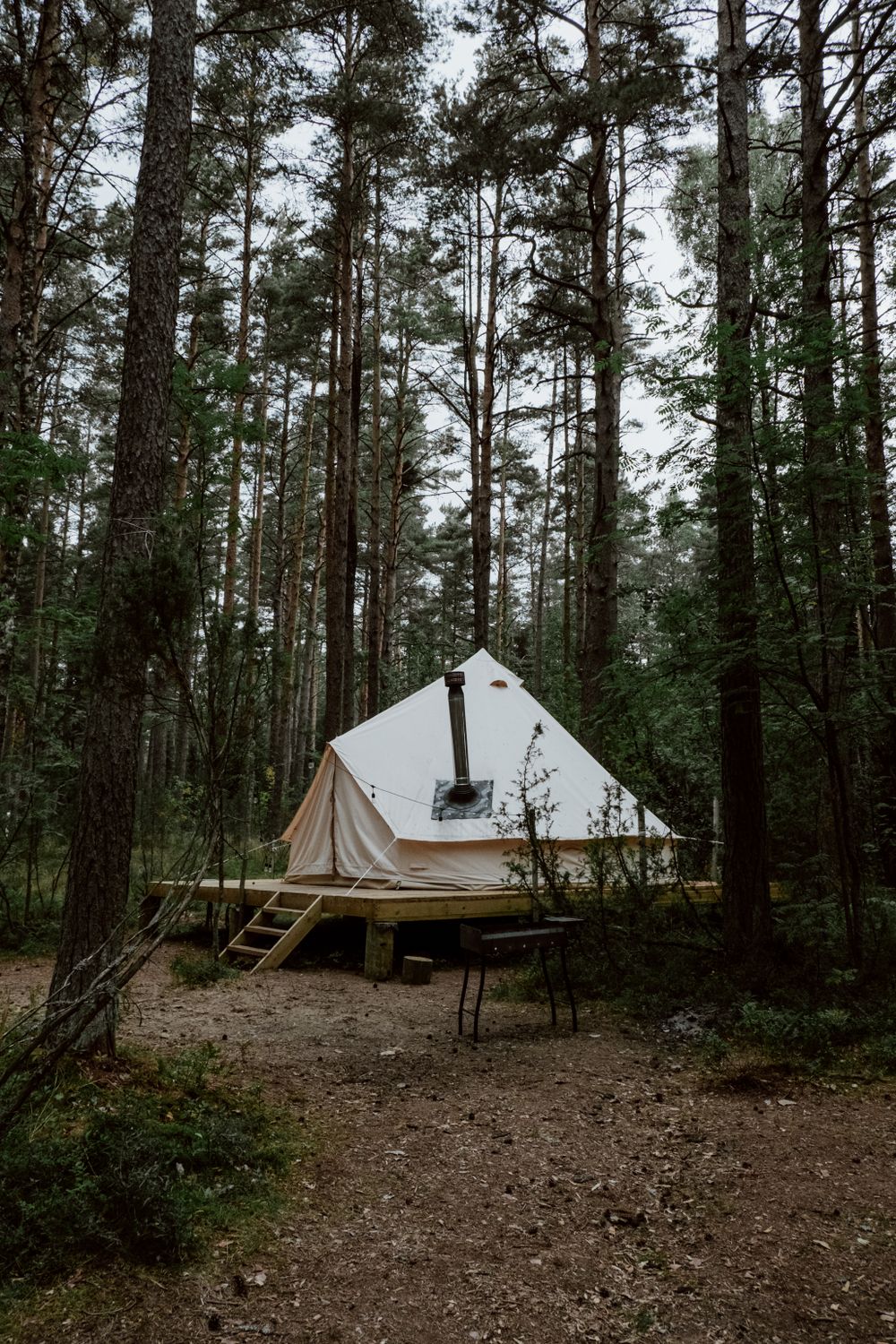 Canvas bell tent with a stove chimney on a timber deck among tall pines